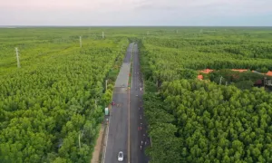 Metro đi Cần Giờ dự kiến có tốc độ 350 km/h Metro đi Cần Giờ dự kiến có tốc độ 350 km/h